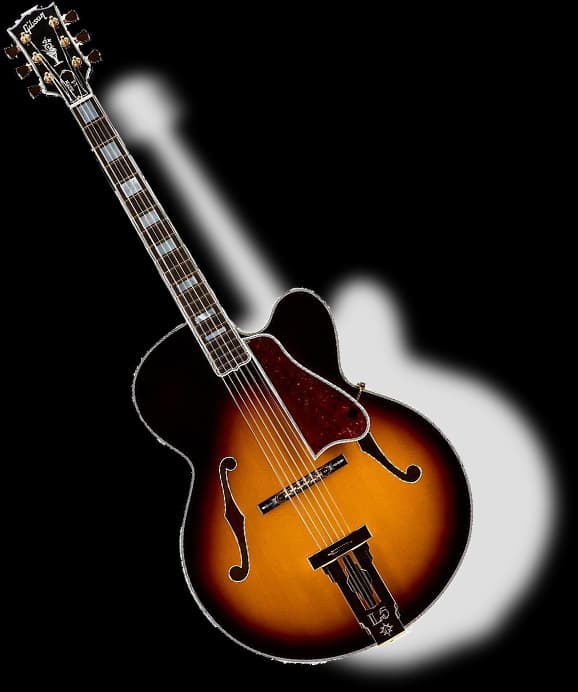 Professional Musical Instruments